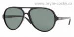 více - Slnečné  Okuliare Ray Ban RB 4125 601 Cats 5000