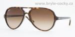 více - Slnečné  Okuliare Ray Ban RB 4125 710/51 Cats 5000